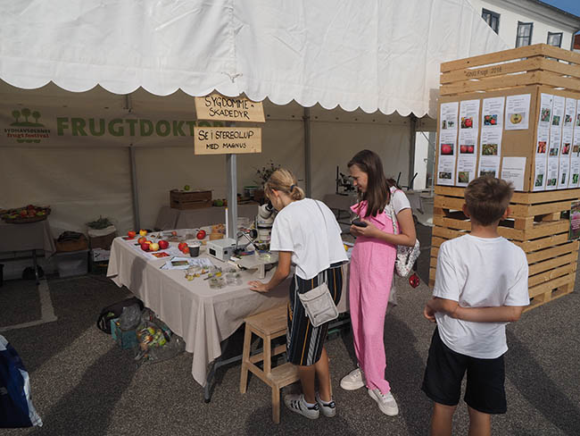 Sydhavsøernes frugtfestival