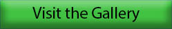 Visit the Gallery